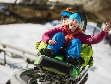 Skidorf Gemütliches Skidorf mit geselligem Après-Ski-8