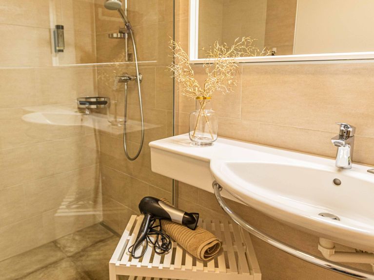 Ferienwohnung Tevini Schmittenblick