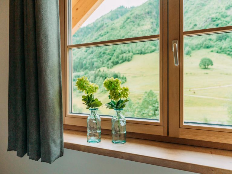 Ferienhaus Riesneralm Im grünen Herzen