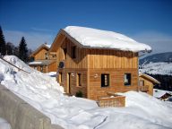 Ferienhaus Alpendorf Dachstein-West Gamsblume-17