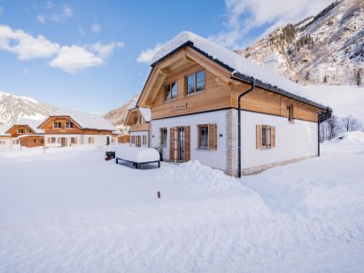 Ferienhaus Riesneralm Bente-1