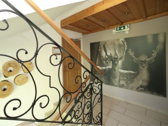 Ferienhaus Edelweiss am See-12