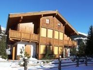 Ferienwohnung Kitzbühel-11