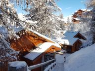 Ferienhaus De Vallandry Le Vent en Poupe mit Außensauna-24