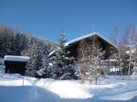 Ferienhaus Les Jeunes-11
