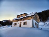 Ferienhaus Riesneralm Liene-19
