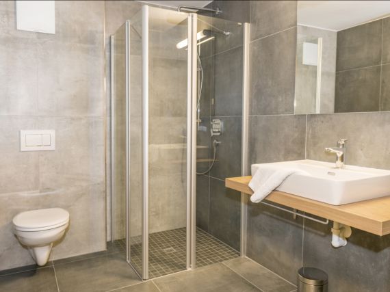 Ferienwohnung Kristall Plaza Niederau Typ A