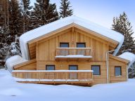 Ferienhaus Alpendorf Dachstein-West Gamsblume-19