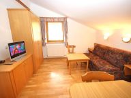 Ferienwohnung Voithofer Top 3-4