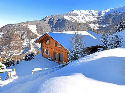 Ferienhaus Alpina mit eigener Sauna-1