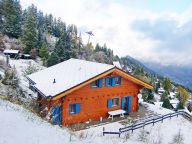 Ferienhaus Alpina mit eigener Sauna-17