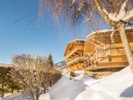 Ferienhaus Le Joyau des Neiges mit Sauna und Whirlpool-20