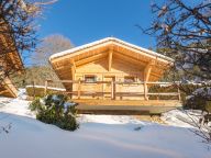 Ferienhaus Le Joyau des Neiges mit Sauna und Whirlpool-21