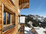 Ferienwohnung Les Portes du Grand Massif Ferienhaus-21