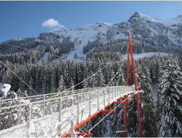 Skidorf Lebhaftes und mondänes Skidorf mit vielen Après-Ski Lokalen-5