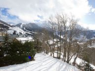 Ferienhaus Nuance de Bleu mit eigener Sauna und Außenwhirlpool-15