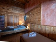Ferienwohnung Les Chalets du Thorens-13