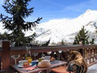 Ferienhaus Le Hameau des Marmottes mit Familienzimmer und Sauna-50