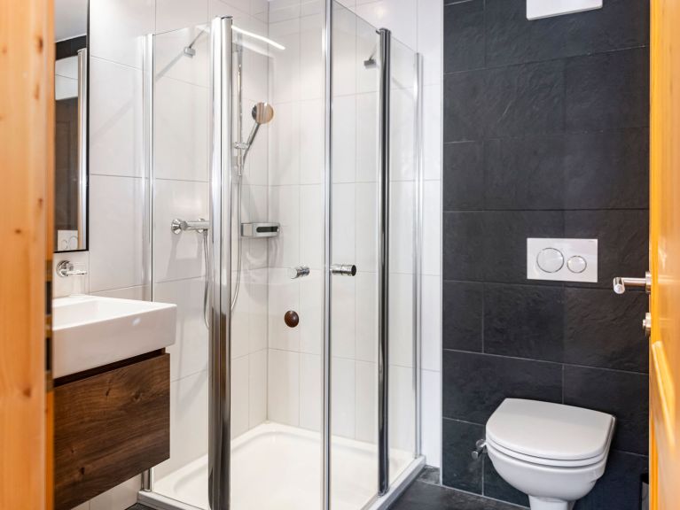 Ferienwohnung Residence Zillertal Typ C3