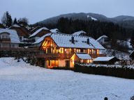 Ferienhaus Alpinn Wellness-24