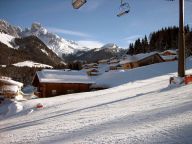 Ferienhaus Alpendorf Dachstein-West Gamsblume-16