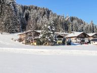 Ferienhaus Hussl-19