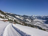 Ferienwohnung Troadstadl Brixentalblick-8