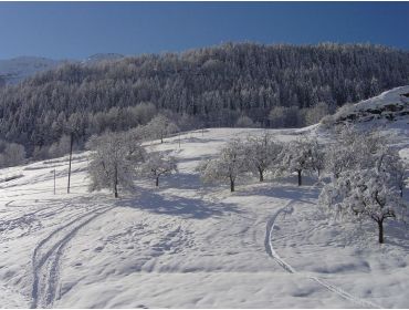 Skidorf Kleines, traditionelles Bergdorf mit Anschluss an Paradiski - Les Arcs-6