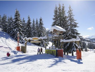 Skidorf Authentisches Skidorf, gut geeignet für Anfänger und Familien-4