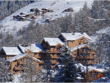 Skidorf Kinderfreundliches Skidorf mit übersichtlichen Pisten-7