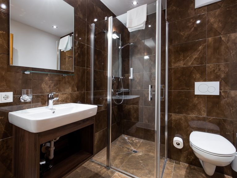Ferienwohnung Wildkogelresorts Typ IVb