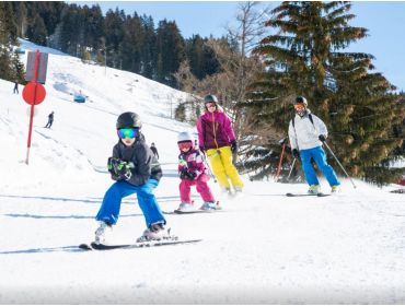 Skidorf Kleines, gemütliches Dorf in der Skiwelt-5