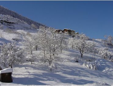 Skidorf Kleines, traditionelles Bergdorf mit Anschluss an Paradiski - Les Arcs-7