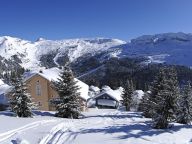Ferienhaus Hameau de Flaine Supérieur mit Sauna-16