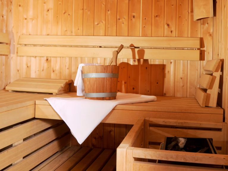 Ferienhaus Almchalet am Katschberg Almchalet