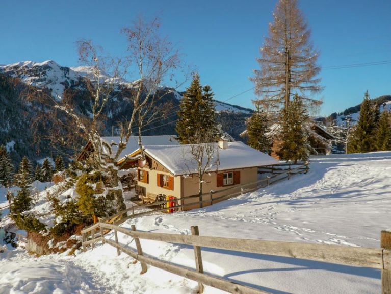 Ferienhaus Zwärgli