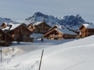 Ferienhaus de L'Altiport Melusine mit Sauna und Whirlpool-17