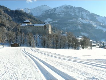 Skidorf Gemütliches, schneesicheres Skidorf mit vielen Einrichtungen-6