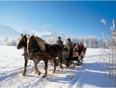 Skidorf Gemütliches, schneesicheres Skidorf mit vielen Einrichtungen-8