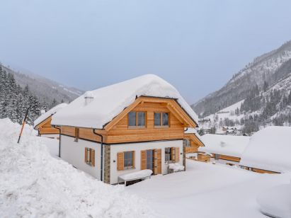 Ferienhaus Riesneralm Pretzel-1