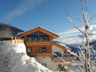 Ferienwohnung Alpenchalet am Wildkogel Smaragd mit Wellnessbereich-4