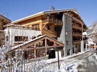 Ferienwohnung Les Fermes de Châtel Mit Kabine-34