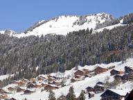 Ferienwohnung Les Fermes de Châtel Mit Kabine-39