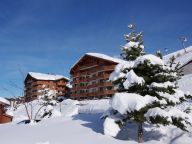 Ferienwohnung Les Chalets de L'Adonis mit Kabine-22