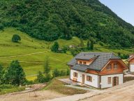 Ferienhaus Riesneralm Ganbei-36