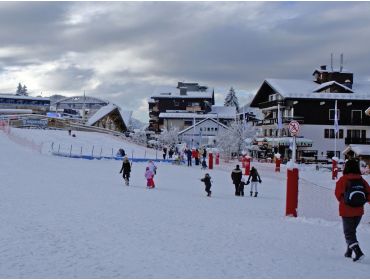 Skidorf Authentisches Skidorf, gut geeignet für Anfänger und Familien-9