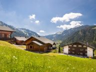 Ferienhaus Dormeur mit Sauna und Außenwhirlpool-18