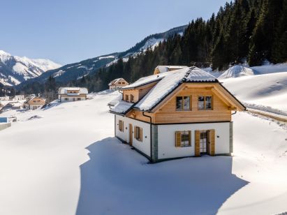 Ferienhaus Riesneralm Liene-1