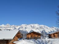 Ferienhaus Almwelt Austria Jagahüttl-9