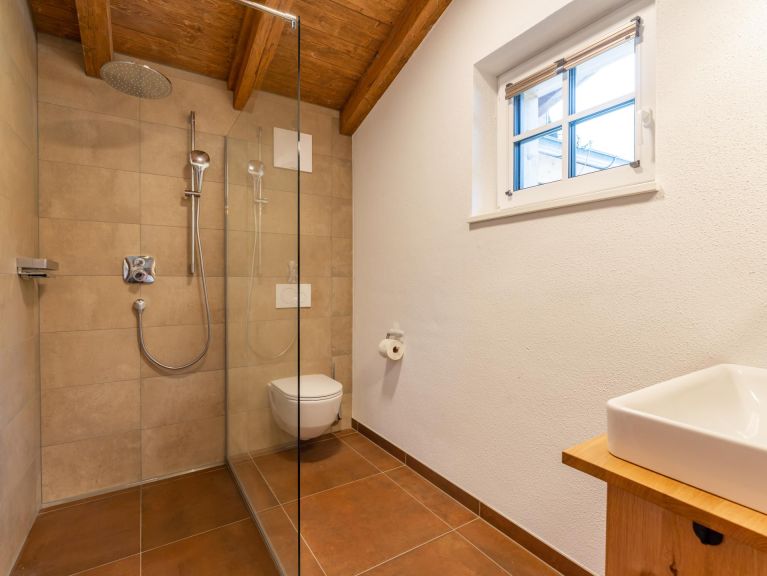 Ferienhaus Pinzgau Lodge 2C
